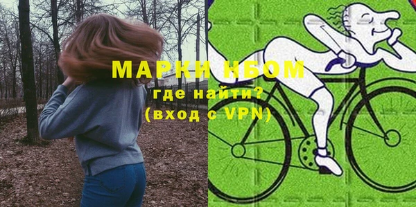 ГАЛЛЮЦИНОГЕННЫЕ ГРИБЫ Белокуриха