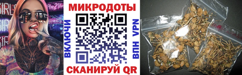 цена   Николаевск-на-Амуре  Псилоцибиновые грибы Cubensis 